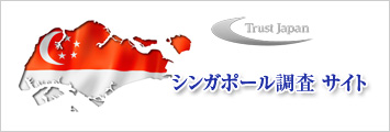 シンガポール調査