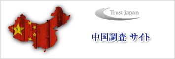 中国調査